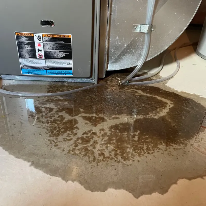 Appliance Leak Cleanup in Euclid, OH