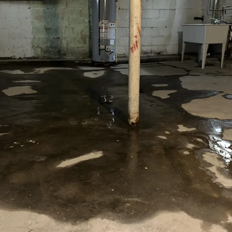 Emergency Water Extraction And Removal in Euclid, OH